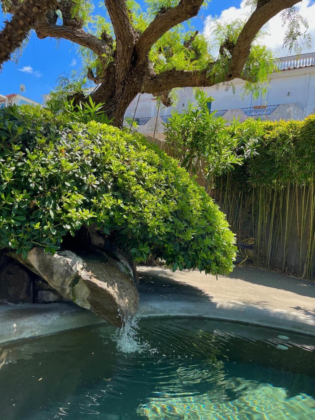 Resort Villa Flavio カザミッチョラ・テルメ エクステリア 写真