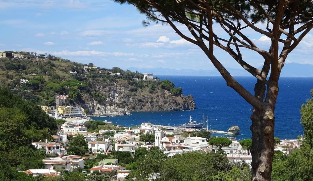 Resort Villa Flavio カザミッチョラ・テルメ エクステリア 写真